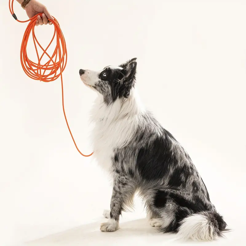 Waterproof PVC Dog Training Le - Fishing Hook Size avis et prix