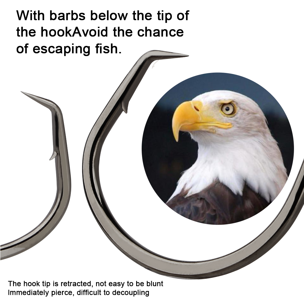 FTK Fishing Hooks Fishing Octo - Fishing Hook Circle avis et prix