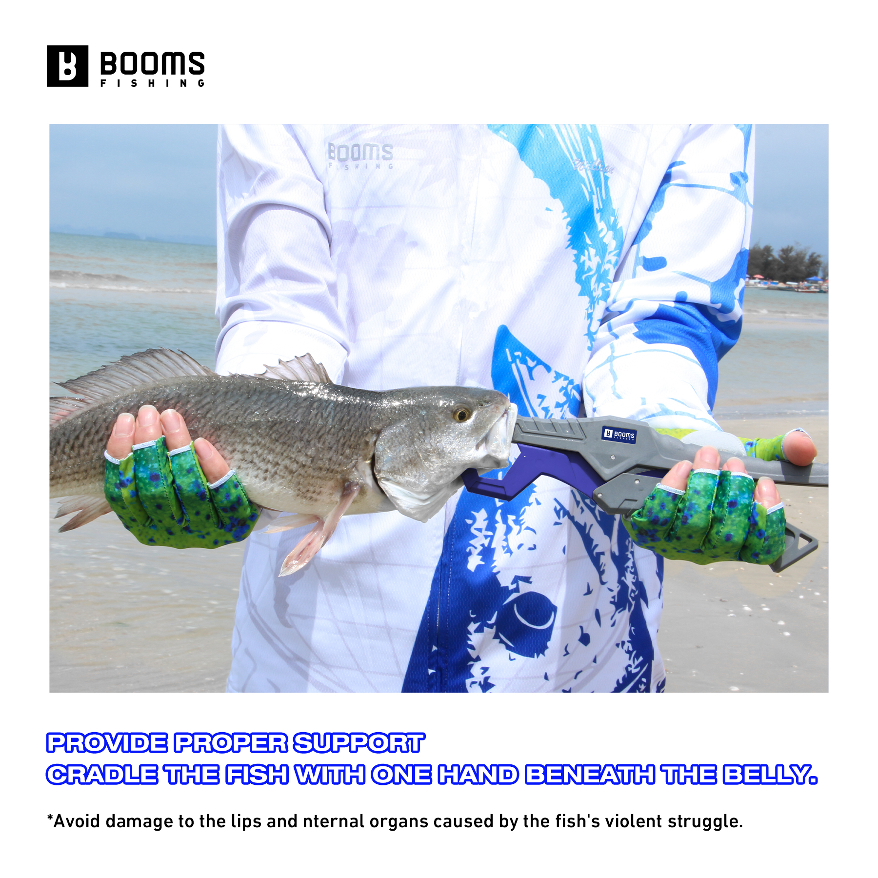 Booms Fishing 23cm Pliers and  - Fishing Hook Sharpener avis et prix